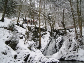 Winterwanderung  2006 (27)