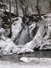 Winterwanderung  2006 (30)