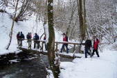 Winterwanderung  2006 (46)