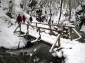 Winterwanderung  2006 (52)