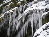 Winterwanderung  2006 (54)